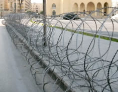 Concertina Coil Wire