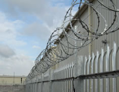 Concertina Coil Wire