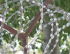 Concertina Coil Wire