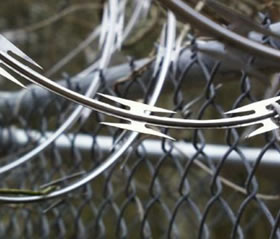 Single Coil Razor Wire